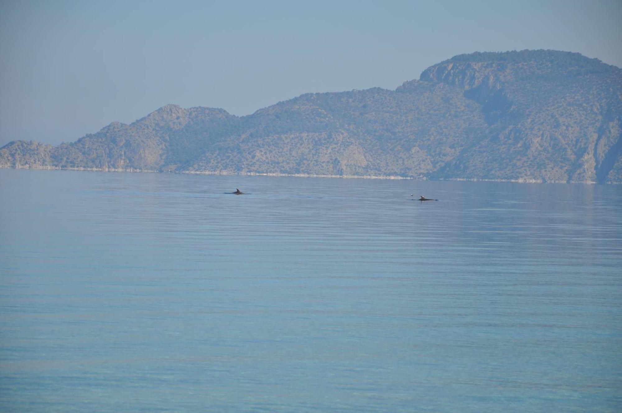 Villa In Kalloni Direkt Am Meer, Tolle Aussicht Eksteriør bilde